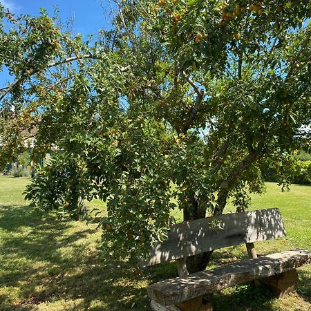 Les Feuilles Jaunes Chantenay-Saint-Imbert ภายนอก รูปภาพ